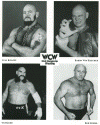 WCW Wrestling.gif (63503 bytes)